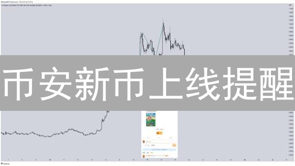 币安新币上线提醒：手把手教你抓住投资先机！🚀