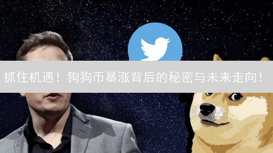 抓住机遇！狗狗币暴涨背后的秘密与未来走向！