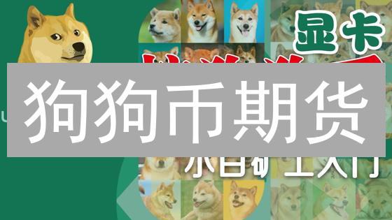 狗狗币期货：新手入门到盈利，安全杠杆策略全攻略