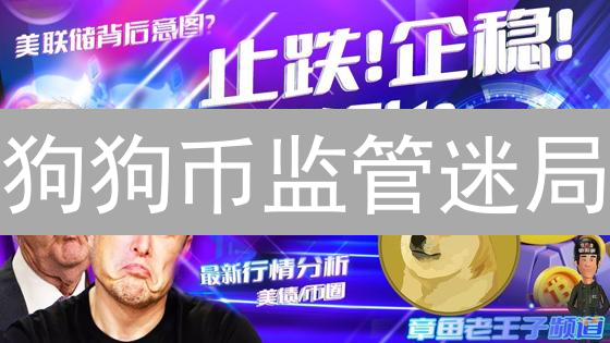 狗狗币监管迷局：是机遇还是挑战？价格、流动性与用户参与度深度剖析！