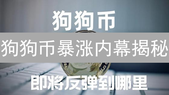 狗狗币暴涨内幕揭秘：还能上车吗？2024投资必看！