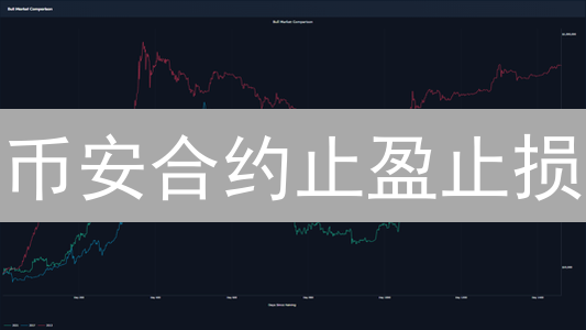币安合约止盈止损：90%的人都不知道的盈利秘诀！