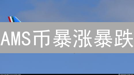 AMS币暴涨暴跌？揭秘今日价格，抓住下一个财富机会！
