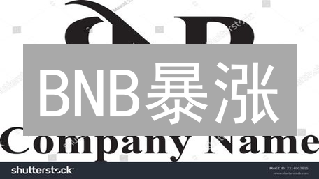 BNB暴涨？2024年投资币安币，先看这5大风险！