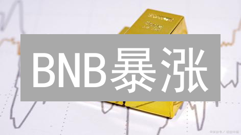 BNB暴涨/暴跌？掌握币安币价波动的七大秘密！