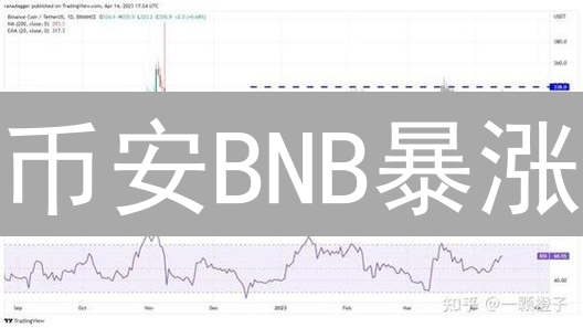 币安BNB暴涨？深度剖析影响市值五大因素！