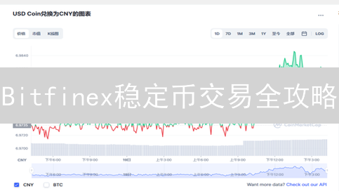 Bitfinex稳定币交易全攻略：USDC/DAI兑换、KYC认证、风险管理，新手必看！