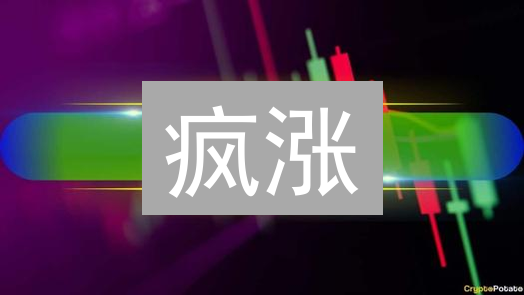 疯涨？Bitfinex 柴犬币(SHIB)交易掘金指南！风险预警！