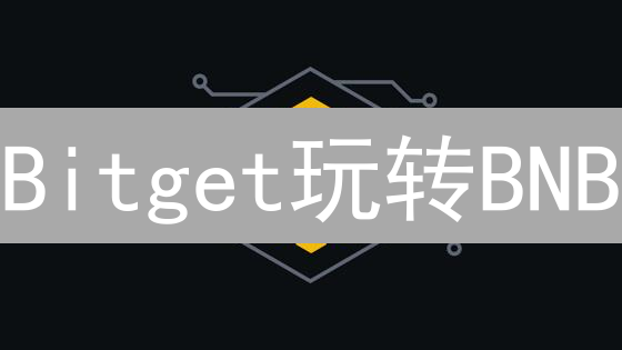 Bitget玩转BNB：省手续费、抢新币，你错过了吗？