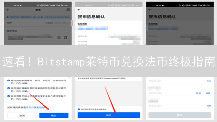 速看！Bitstamp莱特币兑换法币终极指南：避坑全攻略！
