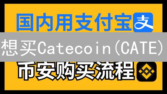 想买Catecoin(CATE)？币安购买指南+风险提示！