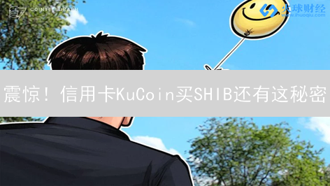 震惊！信用卡KuCoin买SHIB还有这秘密？限额大揭秘！