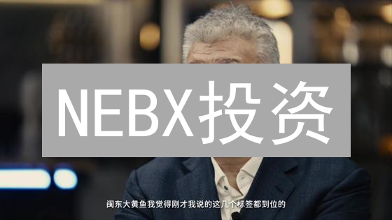 NEBX投资：风险与机遇并存？购买前必看指南！