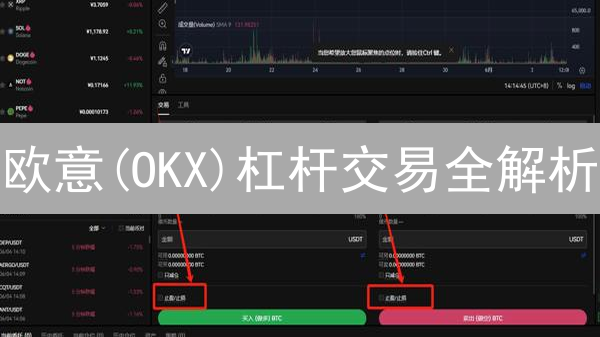 欧意(OKX)杠杆交易全解析：哪些币种支持？风险几何？【2024最新】