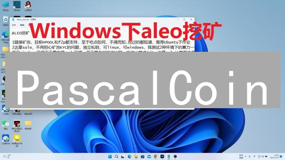 PascalCoin：可修剪区块链，能否突破重围？深度解析与风险评估