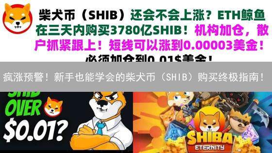 疯涨预警！新手也能学会的柴犬币（SHIB）购买终极指南！