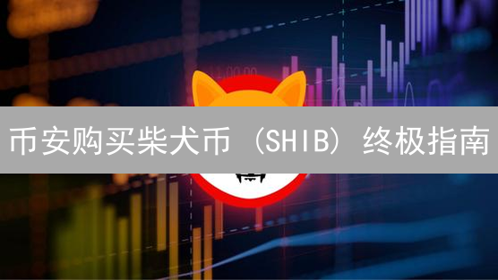 币安购买柴犬币 (SHIB) 终极指南：小白也能轻松上手！