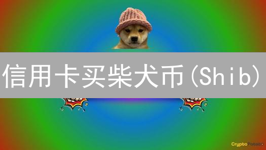 信用卡买柴犬币(Shib)？小心这10个坑！🔥