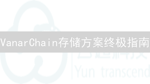 VanarChain存储方案终极指南：元宇宙数据何处安放？