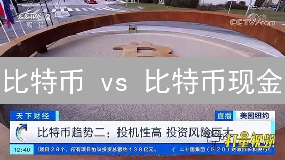 比特币 vs 比特币现金：谁才是加密货币之王？投资回报率深度对比！